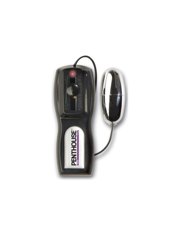 Masturbador Vibratorio Penthouse Pet Collection Taylor Vixen Vagina