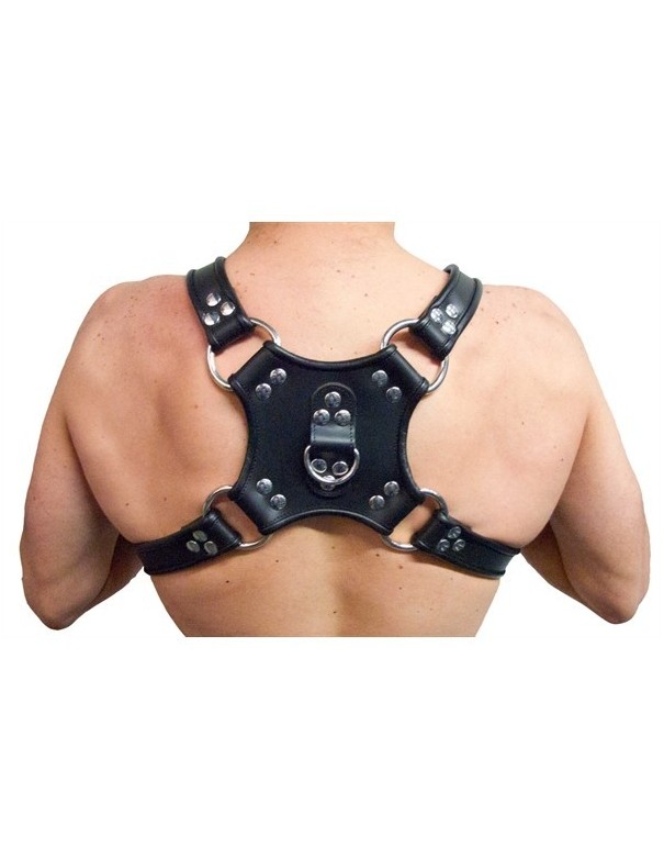 Harnesses Mister B Leather Walking Harness Black-Black