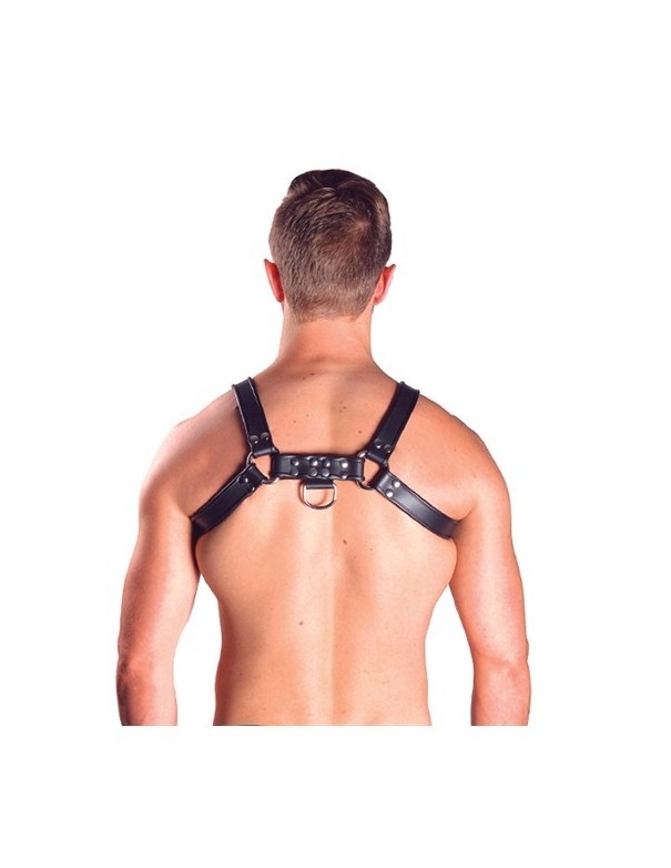 Mister B Leather Chest Harness Grey