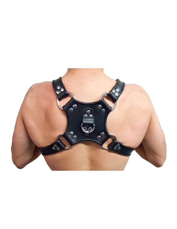 Leather Walking Harness Black-Black