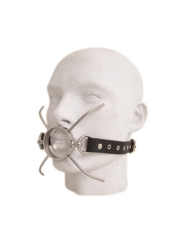 Spider Gag
